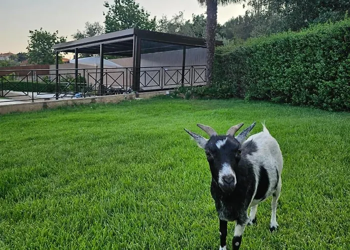 Retiro Na Aldeia Дом отдыха *